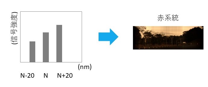 分光イメージングカメラ解析
ハイパースペクトルカメラ解析
波長微分表示方法