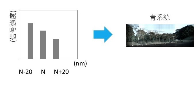 分光イメージングカメラ解析
ハイパースペクトルカメラ解析
波長微分表示方法
